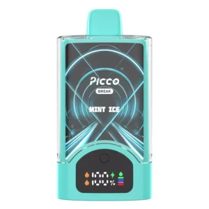Picco-Break-30000-Puffs-Mint-Ice